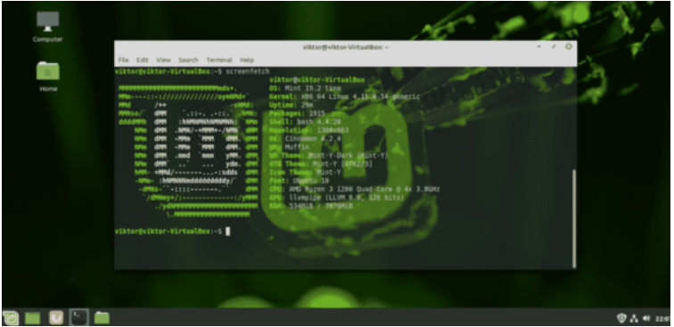 How to install Dual Boot Linux Mint and Windows